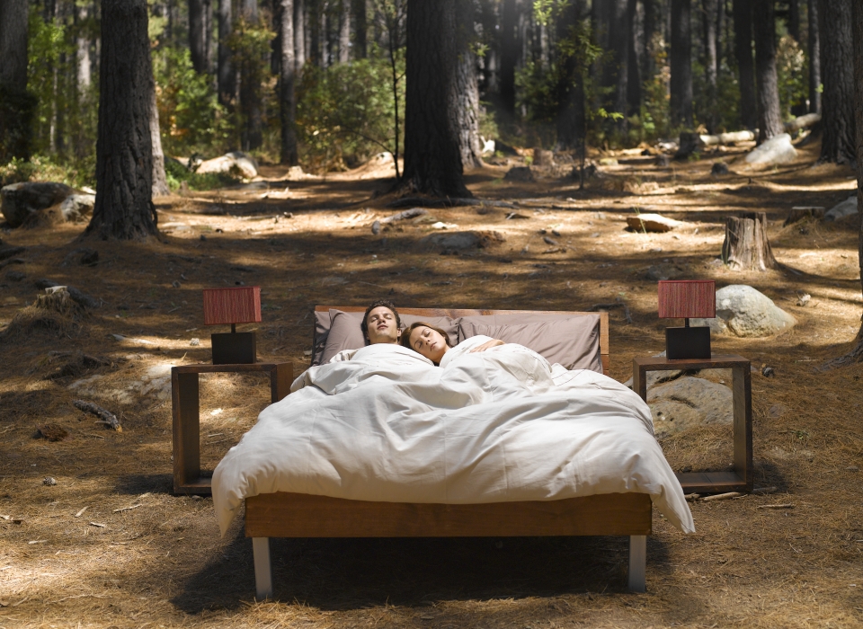 sleeping in the forest
