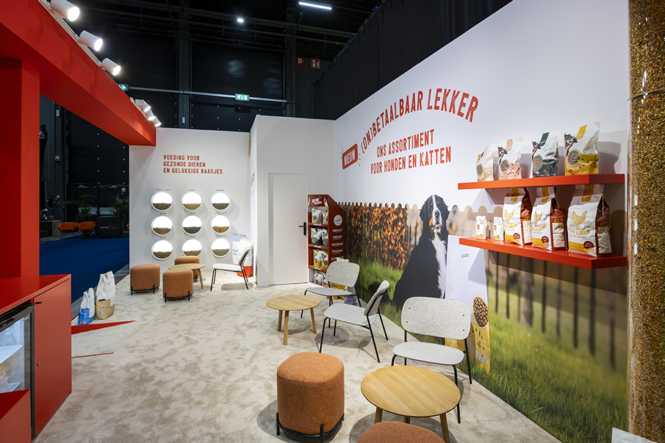 Katoos, Voeders Decadt - Anido